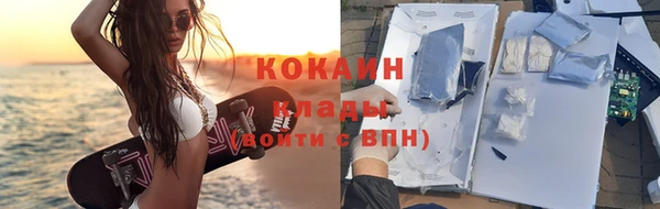 прущие грибы Бронницы
