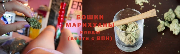 прущие грибы Бронницы