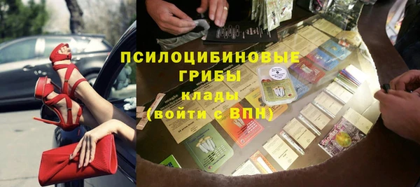 прущие грибы Бронницы