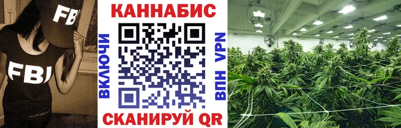 Купить  Кудрово  МАРИХУАНА индика 